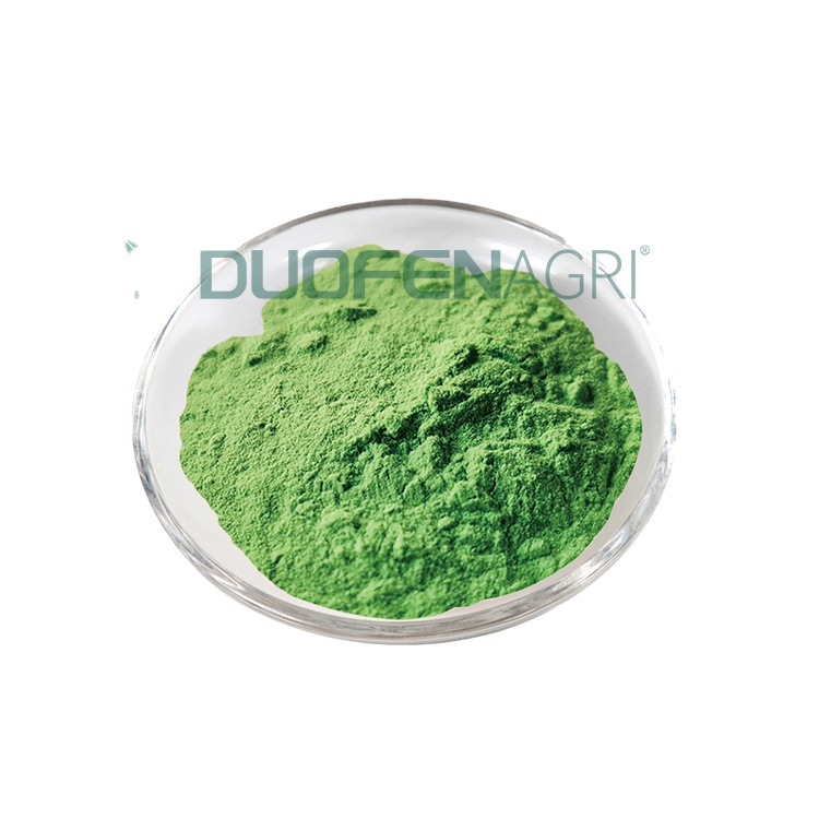 Wholesale Organic Seaweed Fertilizer Powder Manufacturer OEM