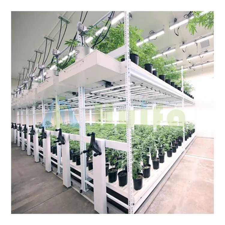 Rack Grow Best Seller Hydroponics sistema di Rack verticale agricoltura interna Rack di coltivazione verticale