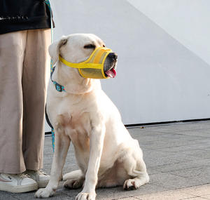 통기성 부드러운 개 총구 물기 중지 씹는 씹는 조정 가능한 컴포트 핏 메쉬 개 총구 - Product Image 3