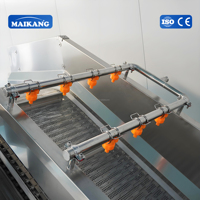 Industriële machine voor het reinigen van selderij en spinazie, machine voor het wassen van vlees en kip, machine voor het verwijderen van zetmeel uit aardappelchips