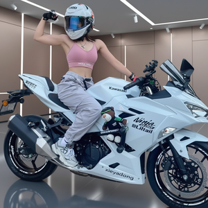 Motocicleta Deportiva Usada con Motor Bicilíndrico de 250cc, R3v6 Little 400 Python N19 Street, 80km/h, Otras Características del Motor Bicilíndrico - Product Image 2