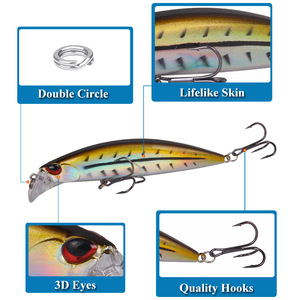 Nuevo Señuelo Artificial Luya de Largo Alcance, Señuelo Sumergible de Gran Peso, Equipo de Pesca Hecho de Plástico para Lubina, Lucioperca y Salmón - Product Image 2