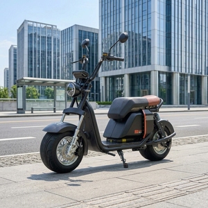 Último Modelo Scooter Vintage de 1000w 20ah con Batería de Litio, Neumático Ancho y Frenos de Disco para Desplazamientos Urbanos Ss701, Motor Potente de 1000w - Product Image 1