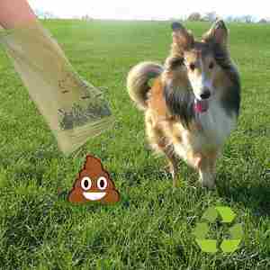 Sacs à déjections canines biodégradables en amidon de maïs, imprimés sur mesure, écologiques, avec porte-sac à déjections canines - Product Image 6