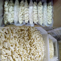Harga Mesin Pengupas Bawang Putih Kecil Otomatis Pengupas Bawang Putih Elektrik Penghilang Kulit Bawang Putih Kering