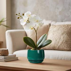 Pots à plantes en céramique écologiques de 4 pouces - Petit pot moderne avec trou de drainage pour plantes succulentes et fleurs, pour le jardinage à domicile - Product Image 4