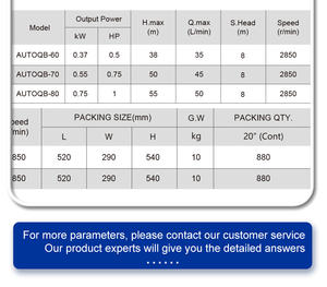 Otomatik Qb60 24L 50L tankları yüksek basınçlı elektrikli kendinden emişli Jet yüzey çiftlik sulama emmek hidrofor pompa 220v otomatik - Product Image 6
