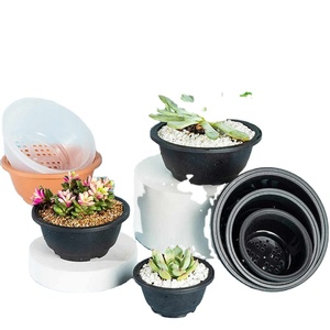 Macetas Coreanas para <span class=keywords><strong>Suculentas</strong></span> de Varios Tamaños, Macetas Redondas y Gruesas, Macetas Combinadas con Diseño de Tronco Viejo, Macetas de Plástico para Plantas Verdes y Flores - Product Image 1