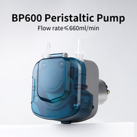 Pompe péristaltique miniature 12V LEIRONG BP600, moteur DC, assurance qualité, équipement médical, 700 ml/min, pompe de dosage chimique pour aquarium