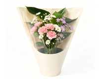 Manchon en papier kraft pour fleurs avec fenêtre transparente, sac d'emballage floral conique pour plantes en pot et bouquets