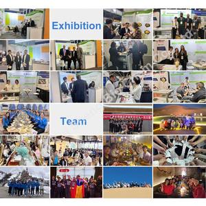 مستخلص بذور العنب بروسيانيدين 95% OPC مستخلص بذور العنب - Product Image 4