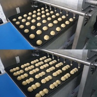 Automatische Mini Koekjeskoekje Depositor Machine Industriële Roterende Koekjeskoekjes Maken Machine Voor Leverancier