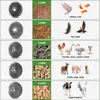 La volaille solaire fait la machine de granule de l'extrudeuse 300kg/h d'alimentation de poissons d'usine pour la taille moyenne d'alimentation des animaux