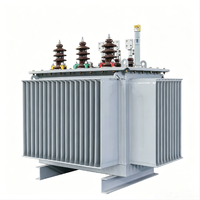 Transformateur à noyau amorphe S22 sur mesure OEM, 3 phases 110 kV 1000 kVA, bobinage en cuivre, refroidissement ONAN pour la rénovation de l'énergie rurale