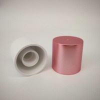 Botella de Plástico PP para Esmalte de Uñas al por Mayor, Cilindro Metálico Ecológico con Tapón de Rosca, Recubrimiento UV Personalizado, Botella de 10 ml con Tapón