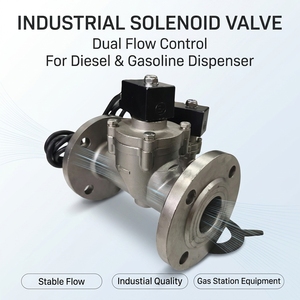 Válvula Solenoide Doble <span class=keywords><strong>de</strong></span> Acero Inoxidable Industrial para Control <span class=keywords><strong>de</strong></span> Flujo Dual en Dispensadores <span class=keywords><strong>de</strong></span> <span class=keywords><strong>Gasolina</strong></span>, Diésel y Estaciones <span class=keywords><strong>de</strong></span> Servicio - Product Image 1