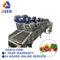 Apple Fruit En Aardappelen Commerciële Wasmachine Groentebubbel Wasmachine