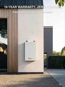 Batería de Litio de 48V para Montaje en Pared, Todo en Uno, Ecológica, de 10KWH, BSM48200W, con Certificación CAN, CE y RoHS, de Alta Eficiencia para Sistemas Solares Domésticos - Product Image 6