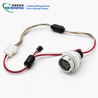 Rangkaian Kabel Defibrillator Kustom, Kabel Medis, OEM ODM, Sesuai ISO 13485, Sesuai FDA, Langsung dari Pabrik