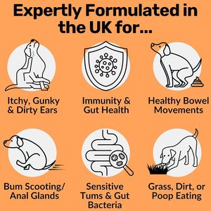 Friandises pour chiens, nourriture et compléments alimentaires pour animaux de compagnie, <span class=keywords><strong>probiotiques</strong></span> <span class=keywords><strong>naturels</strong></span>, friandises à mâcher, fournisseurs pour la santé intestinale des animaux de compagnie - Product Image 3