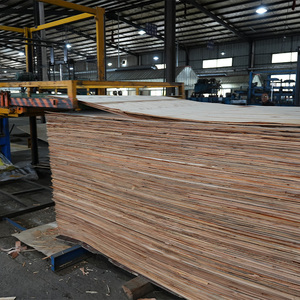 1220x2440mm18mm phim Đen phải đối mặt với ván ép xây dựng ngoài trời ván khuôn Phenolic - Product Image 6