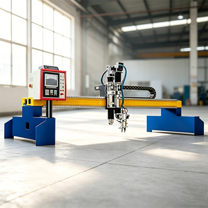 Découpeuse plasma CNC à <span class=keywords><strong>portique</strong></span> standard économique <span class=keywords><strong>pour</strong></span> la découpe et l'agencement de tôles métalliques grand format - Product Image 1