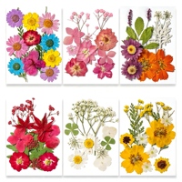 Bunga Kering Alami Asli Campuran 12pcs untuk Kerajinan DIY, Scrapbooking, dan Pembuatan Kartu Ucapan