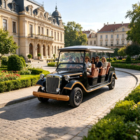 Navette Électrique Classique Ouverte 8 Places 3 Rangées pour Mariages, Immobilier et Visites en Parcs Touristiques