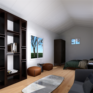 Casa Contenedor Negra Pequeña de 20 pies, Tipo Granero, Portátil, Desmontable, Cobertizo de Almacenamiento, Casas Prefabricadas - Product Image 4
