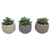 Vente en gros de petits pots de fleurs ronds en ciment Pots de fleurs d'intérieur avec plante verte en plastique