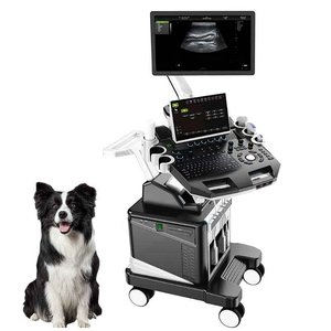 IN-T8VET Dierenarts Draagbare Veterinaire Kleur Doppler Ultrasone Diagnostische Systeem Met Micro-Convexe <span class=keywords><strong>Transducer</strong></span> - Product Image 5