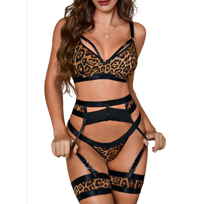 Customizable Sexy Lingerie Woman 3 Pieces Fine Lingerie With Garter Fancy Bra And Panty Delicate Intimate