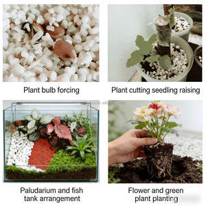 <span class=keywords><strong>Perlita</strong></span> Expandida Blanca en Bolsa Jumbo de 25kg/50kg/1MT para Horticultura, Cultivo de Plántulas, Cultivo de Suculentas, Mejora del Suelo y Aislamiento Térmico - Product Image 6