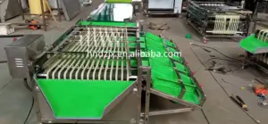 Dzjx khoai tây cà phê Cherry SORTER cà chua học sinh lớp Dâu Tây Việt Quất phân loại máy theo kích cỡ khoai tây phân loại và máy đóng gói