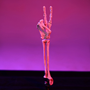 Juego de 4 estacas de mano de esqueleto para Halloween, decoración para jardín/exterior, brazos de esqueleto con gestos de <span class=keywords><strong>roca</strong></span>, accesorios espeluznantes para fiestas de Halloween - Product Image 3