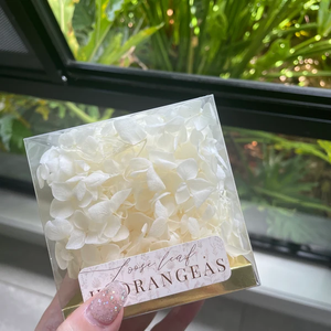 بتلات الكوبية الطبيعية محاصر الكوبية الملونة مجموعة البتلة الأبدية زهرة الزفاف تصميم الأزهار DIY ديكور الزهور الكوبية الزهور - Product Image 3