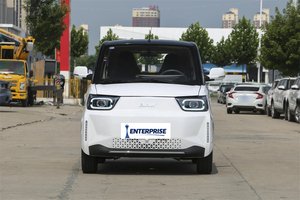 BAW Yuanbao 2025 Edición Líder, Vehículo Eléctrico Puro, Minicoche de 2 Plazas para Adultos, Vehículo Eléctrico BAW Yuanbao - Product Image 3