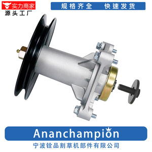 Ensemble de broches 187292 + poulie 195945 avec boulons de fixation pour support de lame de tondeuse à gazon - Product Image 5