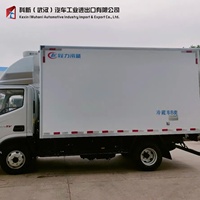 Рефрижератор FOTON HOWO Shacman 18 куб.м. для перевозки замороженных продуктов и мороженого, электрический грузовой фургон