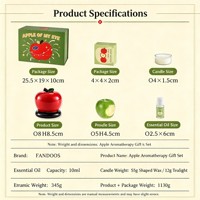Coffret Cadeau Aromathérapie Pomme FANDOOS – Chauffe-Bougie de Noël, Cire Parfumée, Huile Aromatique, Cristal Parfumé, Boîte Cadeau