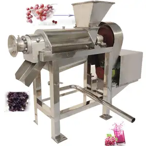 Screw Lemon Juice Making Machine Pineapple Apple pomegranate fruit juicer extractor machine