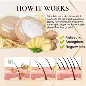 Shampoo et revitalisant en barre à marque privée, savon pour cheveux, savon de luxe végétalien, savon artisanal, shampooing <span class=keywords><strong>solide</strong></span> <span class=keywords><strong>naturel</strong></span> au gingembre, shampooing <span class=keywords><strong>solide</strong></span> biologique - Product Image 5