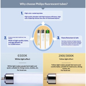 Tubo <span class=keywords><strong>Fluorescente</strong></span> de Vidrio T8, Lámpara de Luz Diurna Tricolor, <span class=keywords><strong>18W</strong></span>/36W, Tira Larga 2026 - Product Image 3
