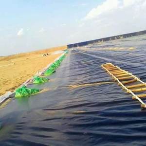 100% Vierge HDPE LLDPE Doublure Noir Polythène UV Feuille pour Biogaz ASTM Conforme Géomembranes 1mm 1.5mm 2mm Épaisseur - Product Image 3