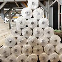 Bâche en plastique imperméable et ignifuge de qualité supérieure pour travaux de construction sur les chantiers
