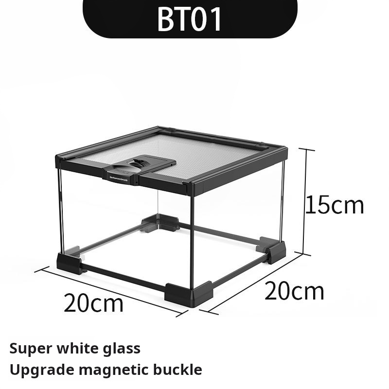 noir BT01