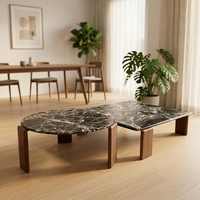 Ensemble de 2 tables basses gigognes de luxe modernes avec plateau en placage de pierre translucide rétroéclairé et pieds en bois massif pour salon, fabrication OEM sur mesure
