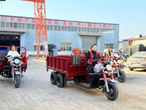 Tricycle de transport à 9 roues refroidi par eau de 400 cm³, charge utile maximale de 2500 kg pour la construction et l'agriculture - Product Image 2
