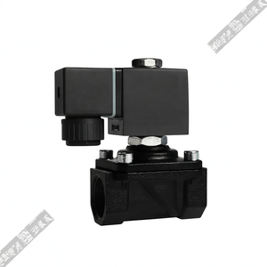 Vanne Solénoïde à Diaphragme COVNA 24V 2 Voies 1/2 Pouce SS316/SS304 Filetée/À Bride pour Eau et Gaz - Product Image 2