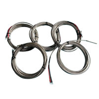 Assemblage de câble de capteur de température à thermocouple RTD à résistance thermique PT100 à 3 fils de classe A